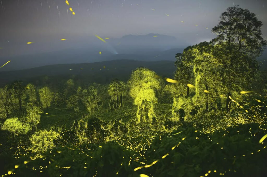 برندگان مسابقه عکاسی حیات وحش سال ۲۰۲۳ اعلام شدند 30 1697202189 141 برندگان مسابقه عکاسی حیات وحش سال ۲۰۲۳ اعلام شدند