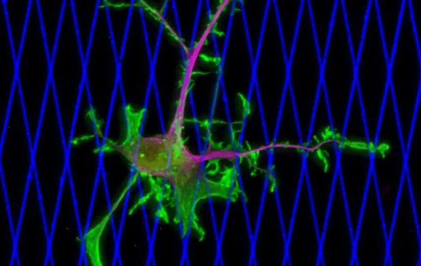 پروتئین سرطان سینه