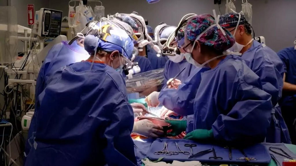 1698897773 588 دومین بیمار دریافت‌کننده قلب خوک به‌دلیل نارسایی قلبی درگذشت