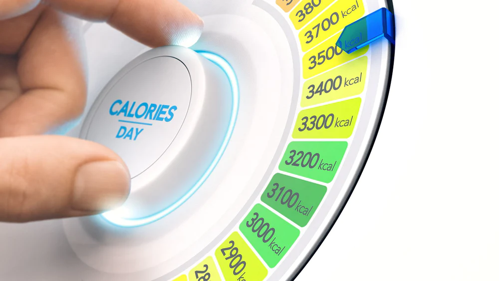 1700160387 184 افراد چاق در طول روز انرژی کمتری می سوزانند.webp