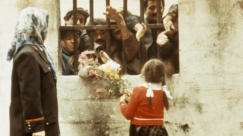 بهترین فیلم های ترکی تاریخ سینما