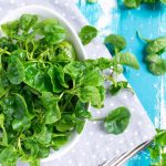 بهترین مواد غذایی آبرسان بدن؛ ۲۵ خوراکی پرآب 6 شاهی یک سبزی آبدار