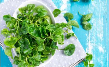 شاهی یک سبزی آب‌دار