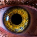 گوش‌‌ها و چشم‌های شما می‌توانند با یکدیگر صحبت ‌کنند