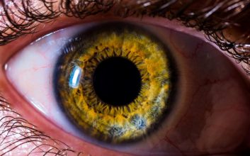 گوش‌‌ها و چشم‌های شما می‌توانند با یکدیگر صحبت ‌کنند