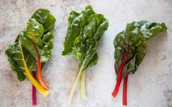 انواع برگ چغندر