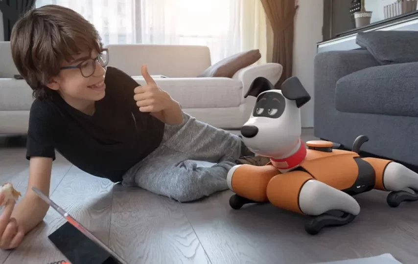 سگ رباتیک چینی گوش دار + ویدیو