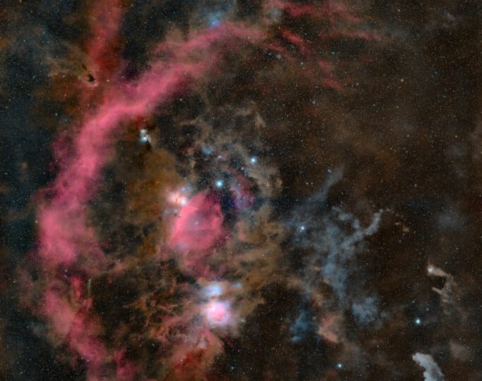 شکارچی که تقریباً می‌توانید ببینید