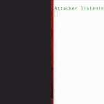 آسیب‌پذیری جدید پردازنده‌های اپل و AMD که منجر به سرقت داده‌ها می‌شود