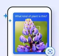 مایکروسافت نام اج را در اندروید و iOS به «مرورگر هوش مصنوعی» تبدیل کرد