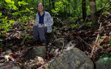 کشف یک جنگل گمشده 23 میلیون ساله در پاناما! + عکس