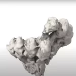 برای اولین‌بار ویدیویی از مهم‌ترین فرایند تقسیم سلولی منتشر شد