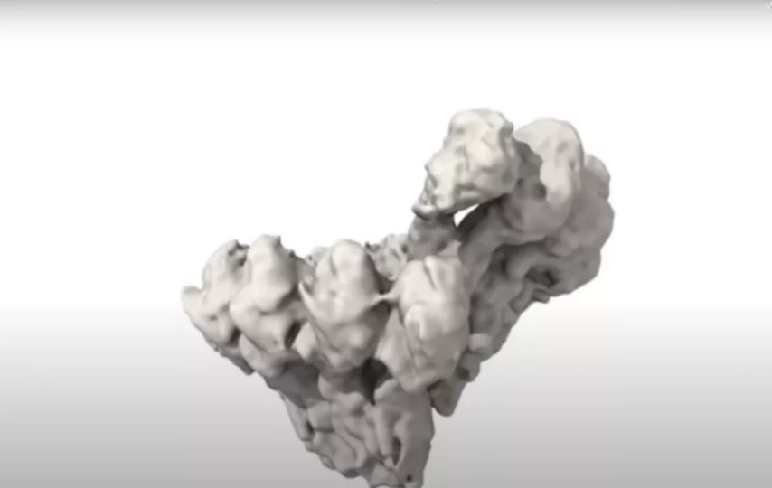 برای اولین‌بار ویدیویی از مهم‌ترین فرایند تقسیم سلولی منتشر شد