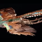 دانشمندان الگوی باستانی نهان در پرهای پرندگان را کشف کردند 6 دانشمندان الگوی باستانی پنهان در پرهای پرندگان را کشف کردند