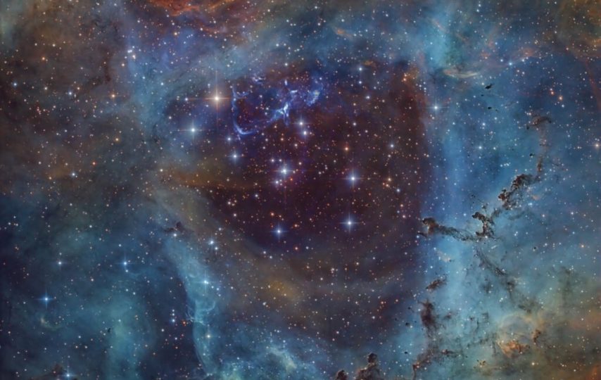 تصویر روز ناسا: رزهایی که قرمز نیستند