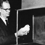 انواع شرطی سازی و کاربرد آن در انگیزش کارکنان 5 آزمایش برای بررسی شرطی شدن کنشگر