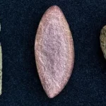 باستان‌شناسان قدیمی‌ترین شواهد حضور انسان در اروپا را کشف کردند