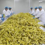 بامبو به اندازه شیر گاو دارای مقادیر بالای پروتئین و مواد مغذی است_دنیای تکنولوژی 6 بامبو به اندازه شیر گاو دارای مقادیر بالای پروتئین و مواد مغذی است