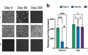 تجزیه میکروپلاستیک