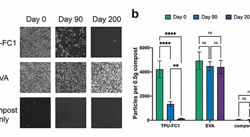 تجزیه میکروپلاستیک
