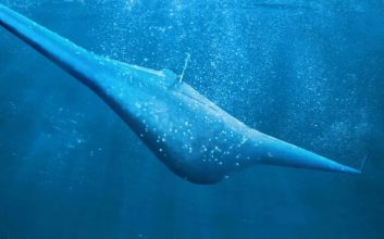 معرفی زیردریایی بدون خدمه Manta Ray متعلق به دارپا + ویدیو