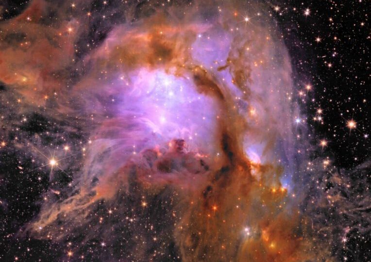 رنگ بنفش در مرکز M78 ناشی از غبار تیره است که نور آبی ستارگان داغ و جوان را منعکس می‌کند.