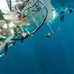 پلاستیک‌های یکبار مصرف