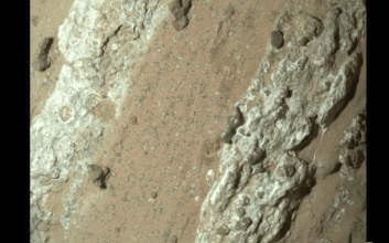 مریخ‌نورد استقامت