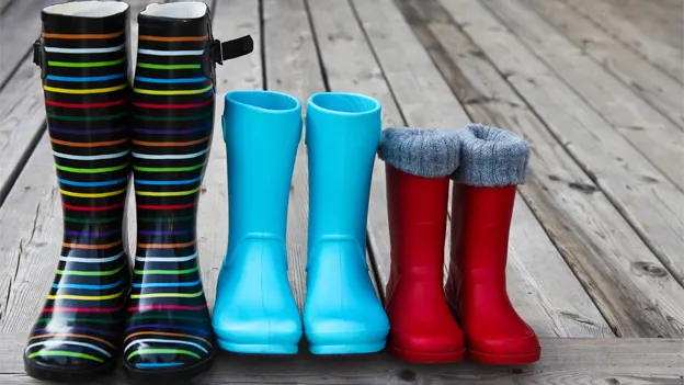 ۶ سبک رهبری دانیل گلمن + بهترین سبک رهبری برای من کدام است؟_دنیای تکنولوژی 4 ۶ سبک رهبری دانیل گلمن بهترین سبک رهبری برای.webp