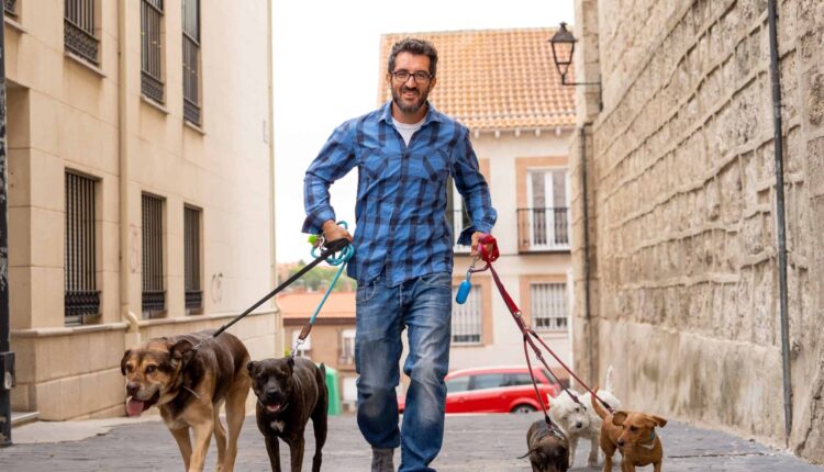 1723462815 389 ۲۷ ایده شغل دوم دو پیشنها پول‌ساز برای در