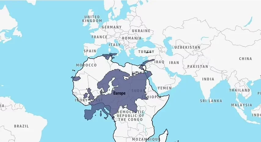 مقایسه ابعاد واقعی کشورها و قاره‌ها با یکدیگر