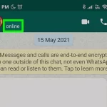 از کجا بفهمیم در واتساپ بلاک شدیم؟ 4 روش تشخیص بلاک شدن توسط افراد