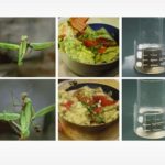 این هوش مصنوعی تصاویر حاضر در ذهن شما را بازسازی میکند_دنیای تکنولوژی 6 این هوش مصنوعی تصاویر موجود در ذهن شما را بازسازی میکند