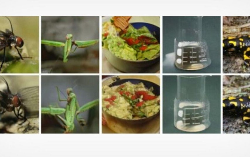 این هوش مصنوعی تصاویر موجود در ذهن شما را بازسازی می‌کند