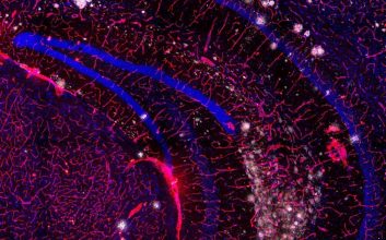 مسابقه عکاسی علمی 2024