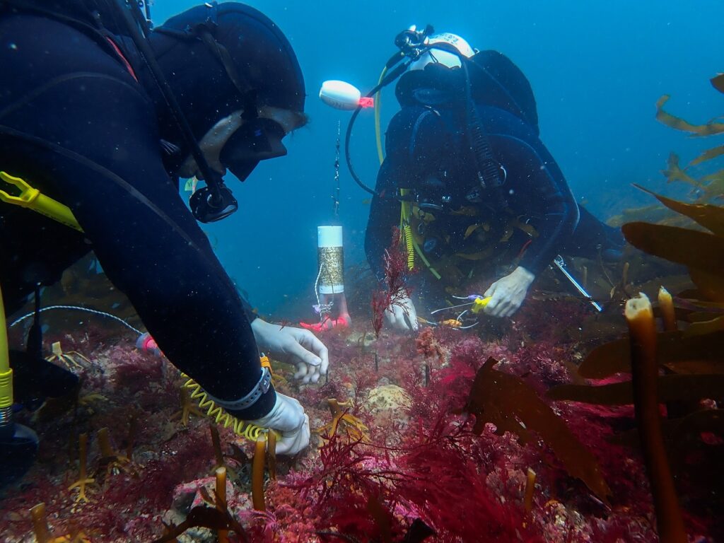 1727196516 139 برندگان شگفت‌انگیز مسابقه عکاسی علمی 2024 اشکار شدند گالری دنیای