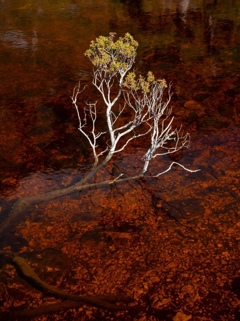 1727196516 510 برندگان شگفت‌انگیز مسابقه عکاسی علمی 2024 اشکار شدند گالری دنیای