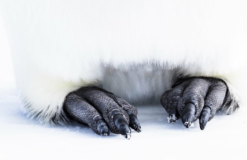 مسابقه عکاسی علمی 2024