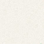 آموزش تغییر فونت واتساپ | عوض کردن شکل نوشته‌ها به فونت دلخواه