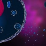 اگزوزوم‌ها