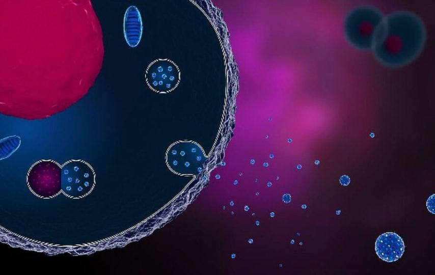 اگزوزوم‌ها