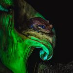 مسابقه عکاسی علمی 2024