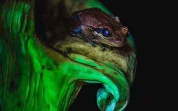 مسابقه عکاسی علمی 2024