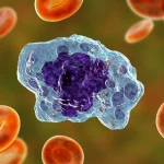 سلول ماکروفاژ