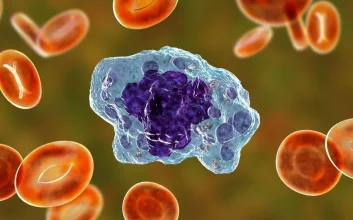 سلول ماکروفاژ