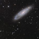 NGC 247 به همراه کهکشان مارپیچی براق NGC 253، بخشی از گروه کهکشان‌های مجسمه‌ساز است.