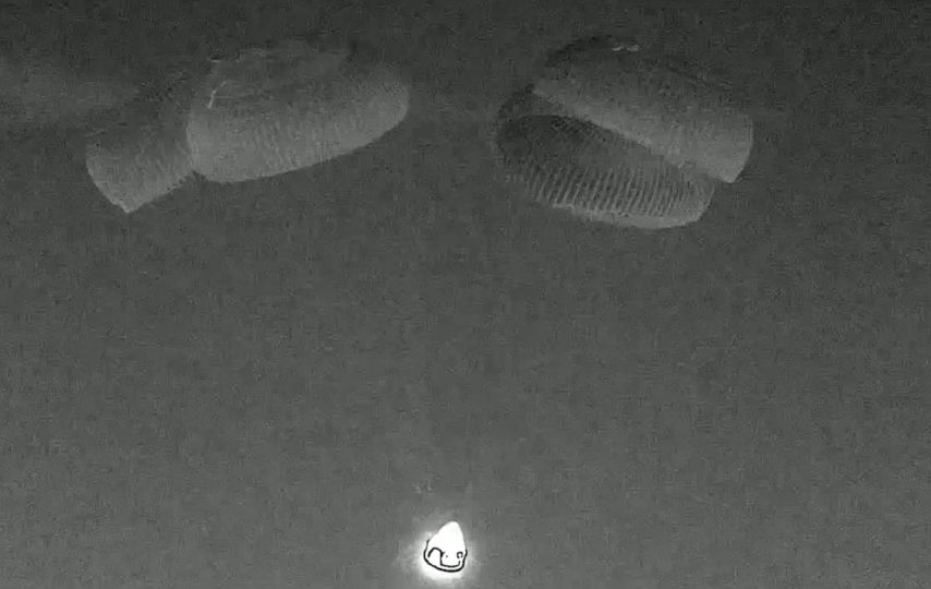 فضانوردان مأموریت تاریخی پولاریس داون به زمین بازگشتند + ویدیو