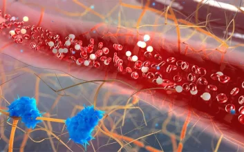 افزایش سطح گلوکز خون روی تارهای صوتی تأثیری کوچک اما قابل‌تشخیص دارد.