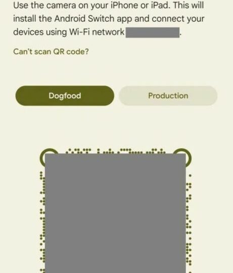 گوگل ظاهراً نام اپ Switch to Android را به Android Switch تغییر می‌دهد