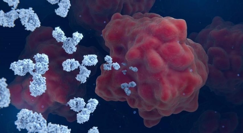 داروی سلول‌های سرطانی